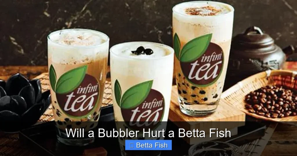 Will a Bubbler Hurt a Betta Fish
