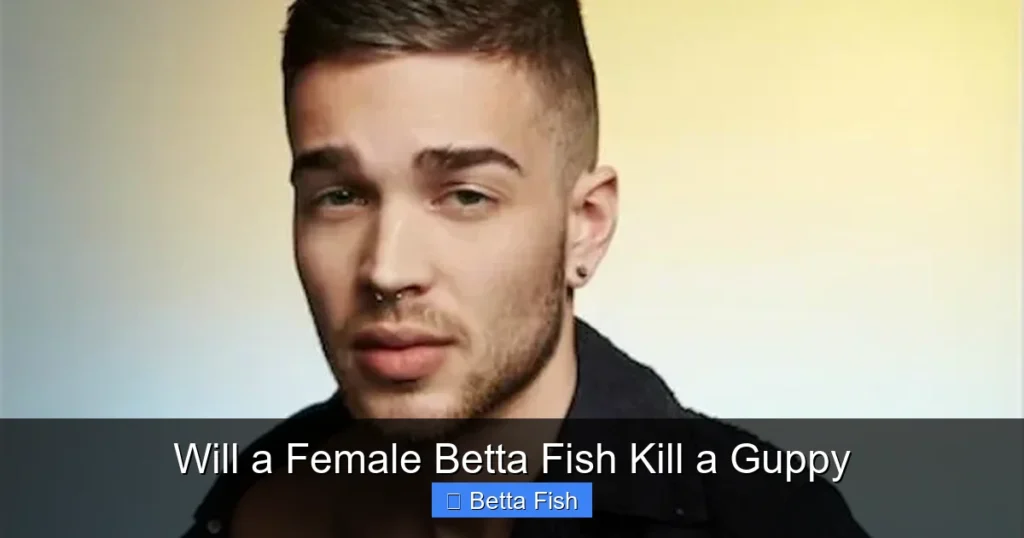 Will a Female Betta Fish Kill a Guppy