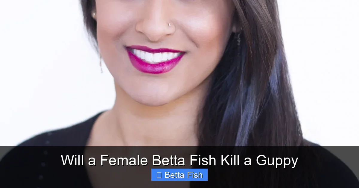 Will a Female Betta Fish Kill a Guppy