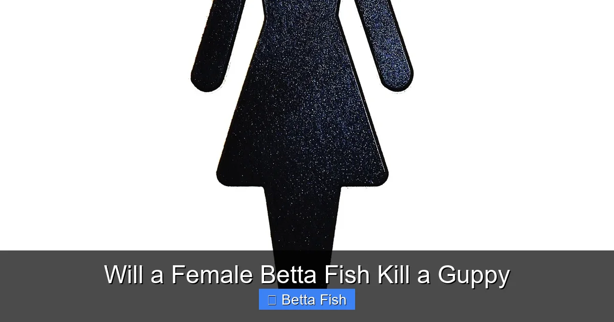 Will a Female Betta Fish Kill a Guppy