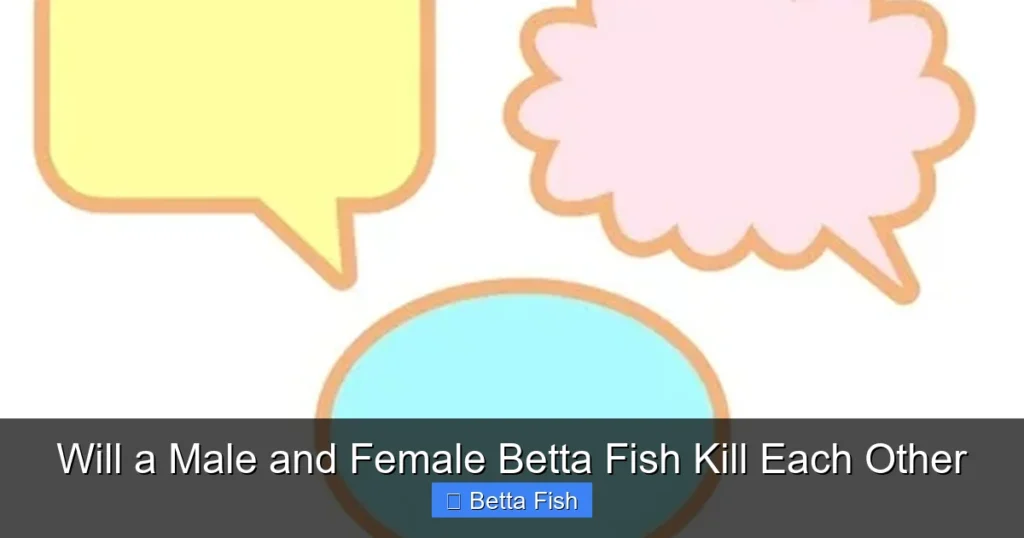 Will a Male and Female Betta Fish Kill Each Other