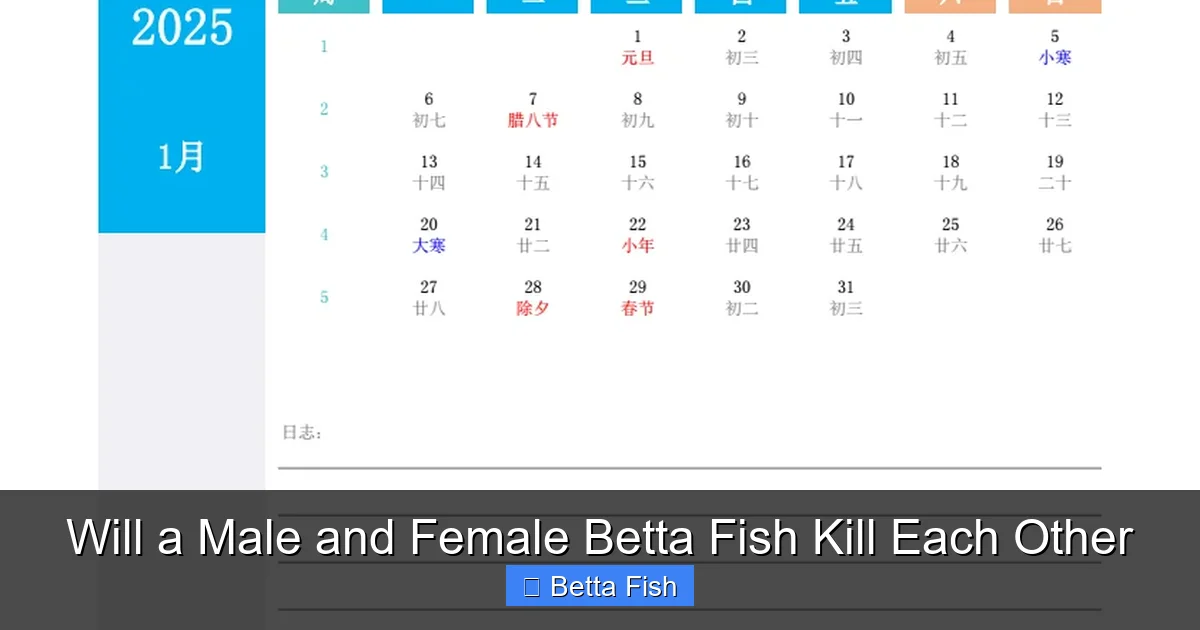 Will a Male and Female Betta Fish Kill Each Other