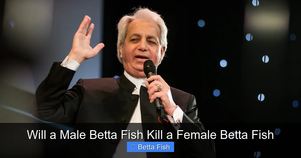 Will a Male Betta Fish Kill a Female Betta Fish
