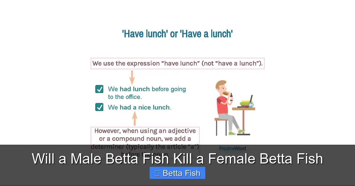 Will a Male Betta Fish Kill a Female Betta Fish