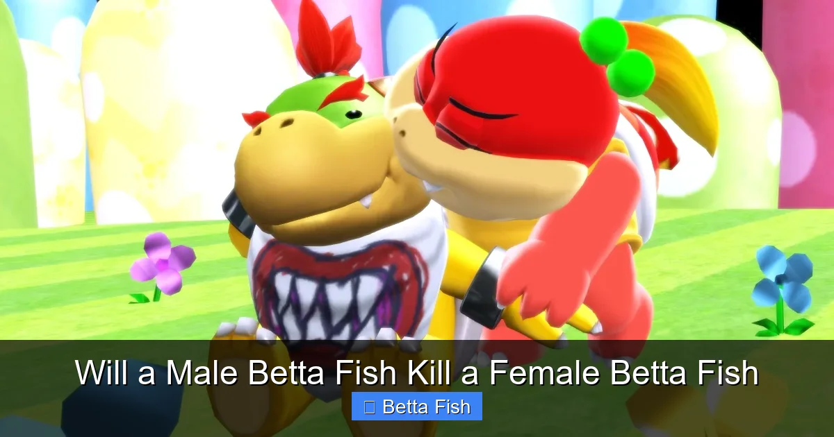 Will a Male Betta Fish Kill a Female Betta Fish
