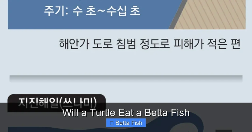 Will a Turtle Eat a Betta Fish
