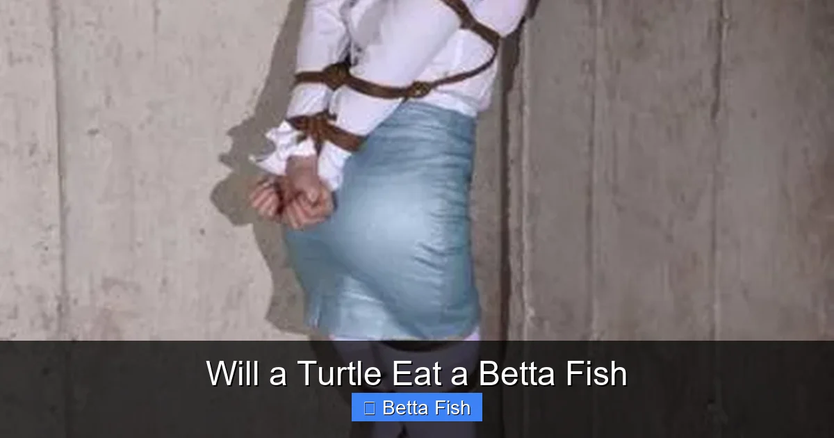 Will a Turtle Eat a Betta Fish