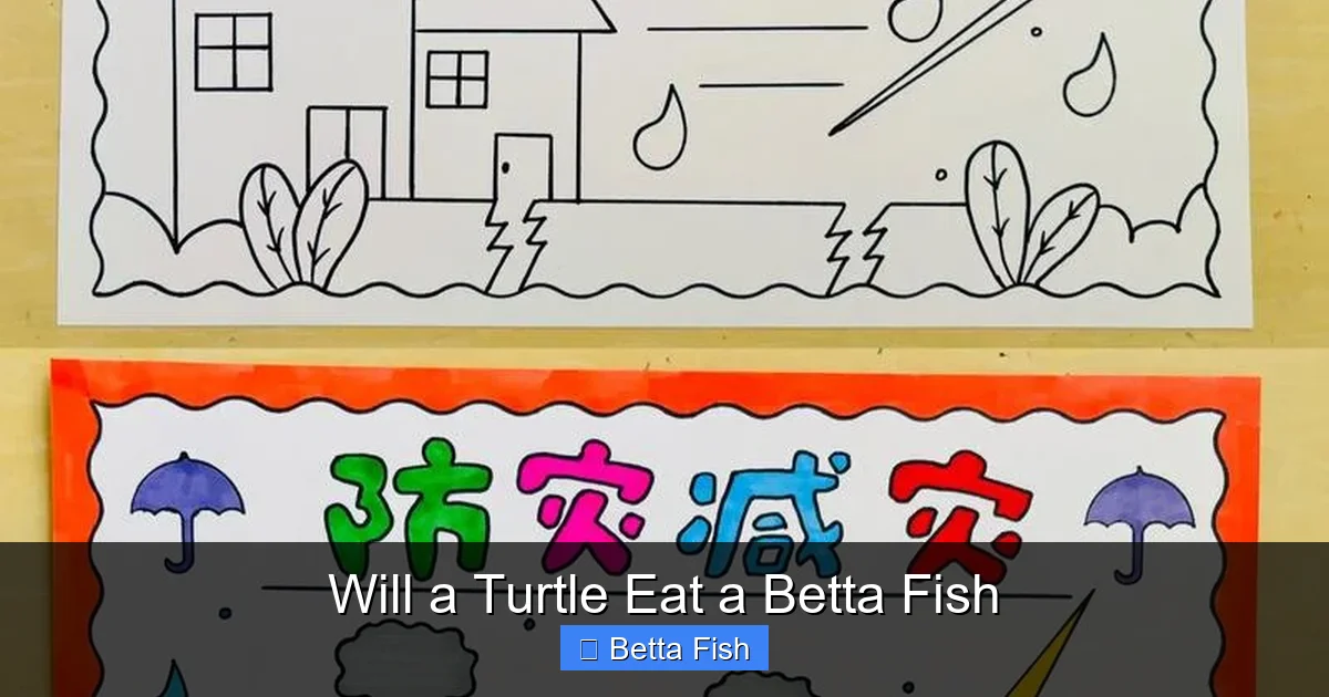 Will a Turtle Eat a Betta Fish