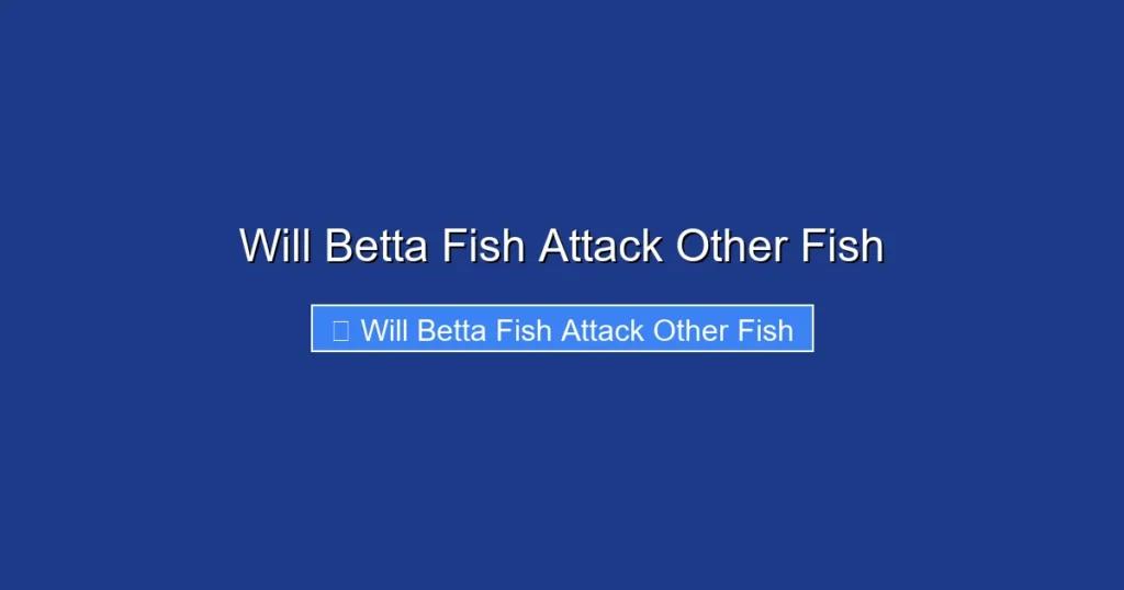 Will Betta Fish Attack Other Fish