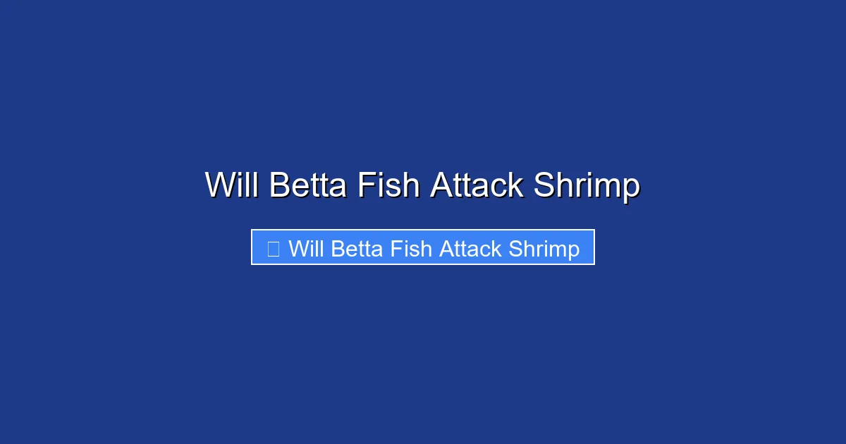 Will Betta Fish Attack Shrimp