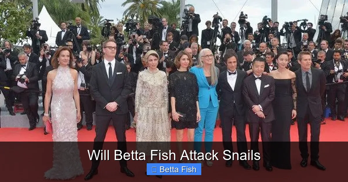 Will Betta Fish Attack Snails