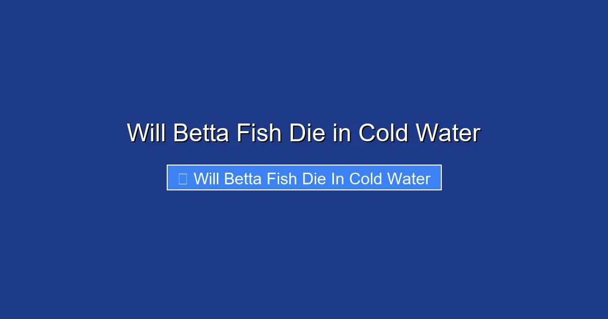 Will Betta Fish Die in Cold Water