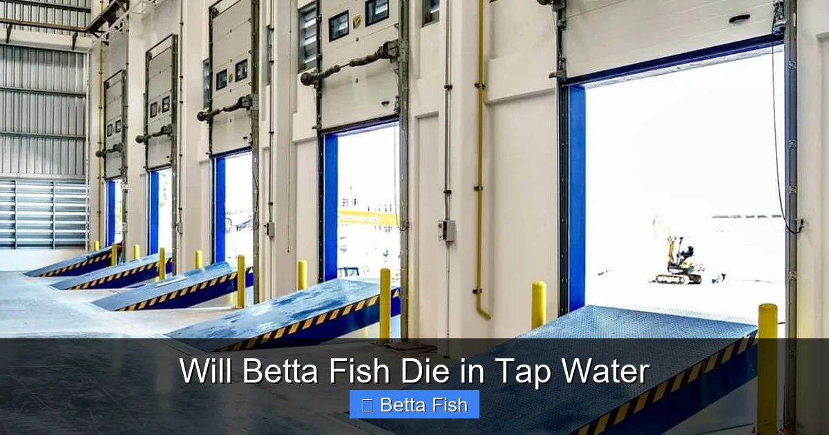 Will Betta Fish Die in Tap Water