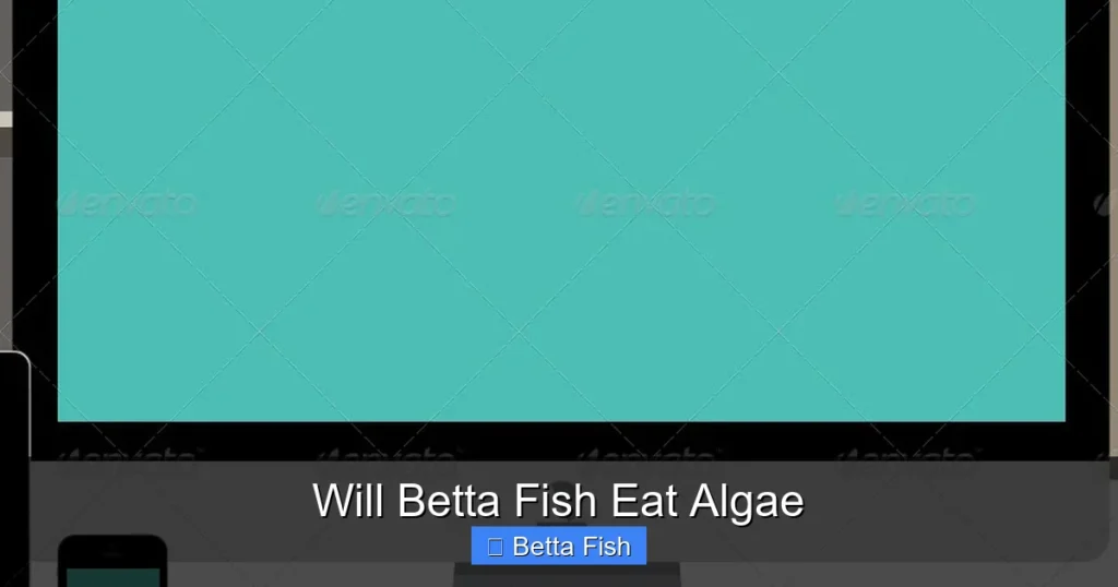 Will Betta Fish Eat Algae