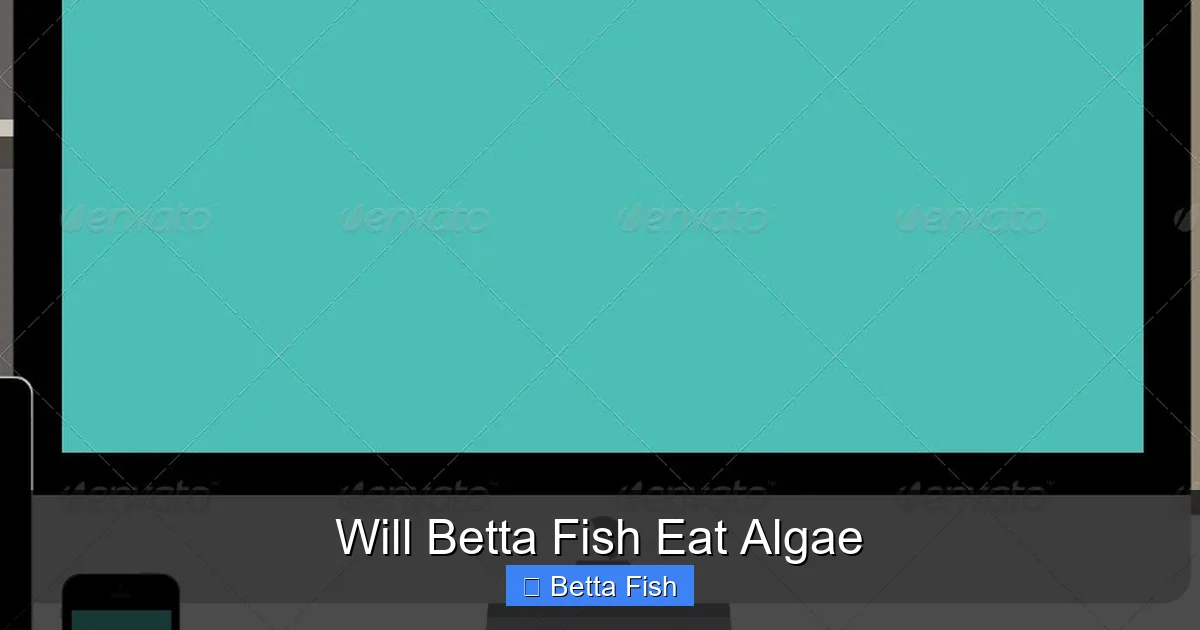 Will Betta Fish Eat Algae