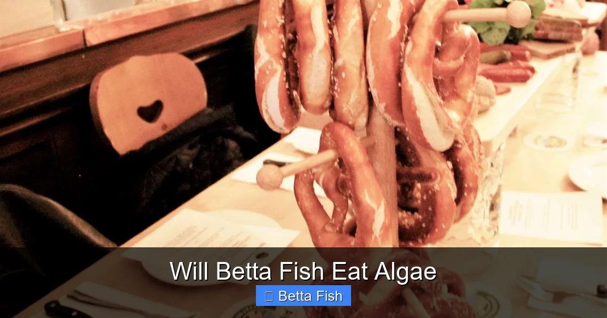 Will Betta Fish Eat Algae