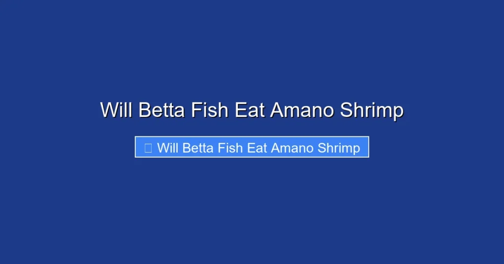 Will Betta Fish Eat Amano Shrimp