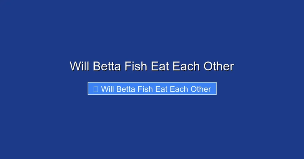 Will Betta Fish Eat Each Other