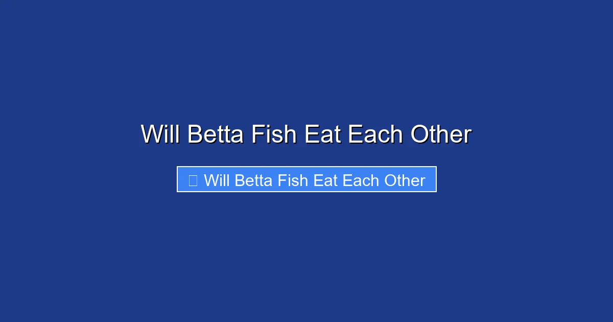 Will Betta Fish Eat Each Other