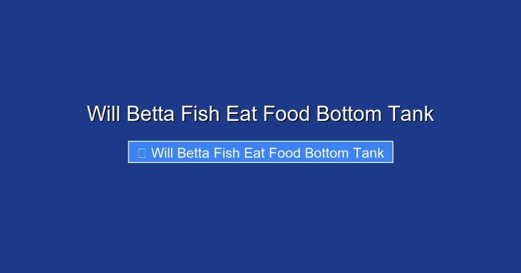 Will Betta Fish Eat Food Bottom Tank