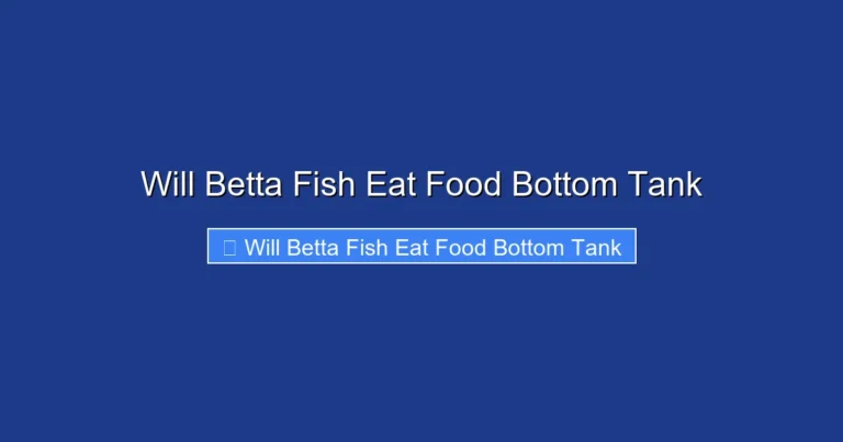 Will Betta Fish Eat Food Bottom Tank