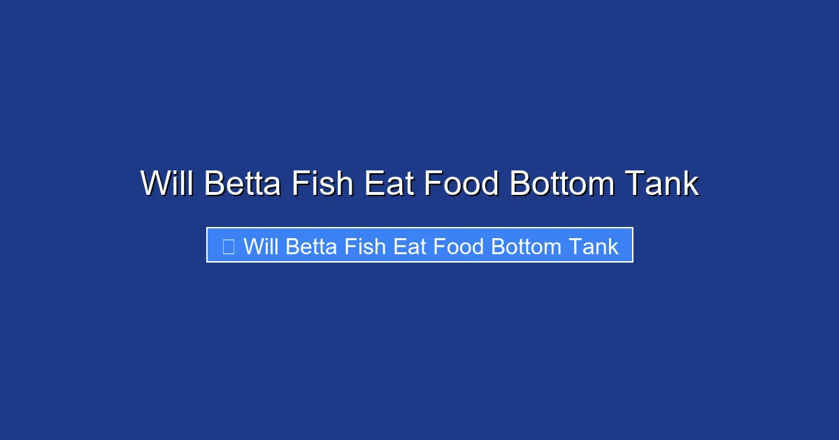Will Betta Fish Eat Food Bottom Tank