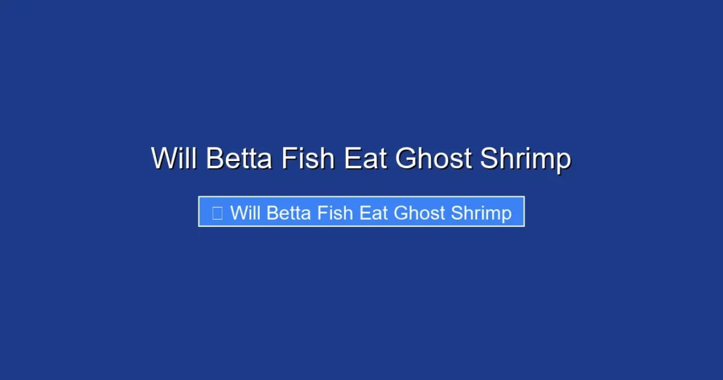 Will Betta Fish Eat Ghost Shrimp