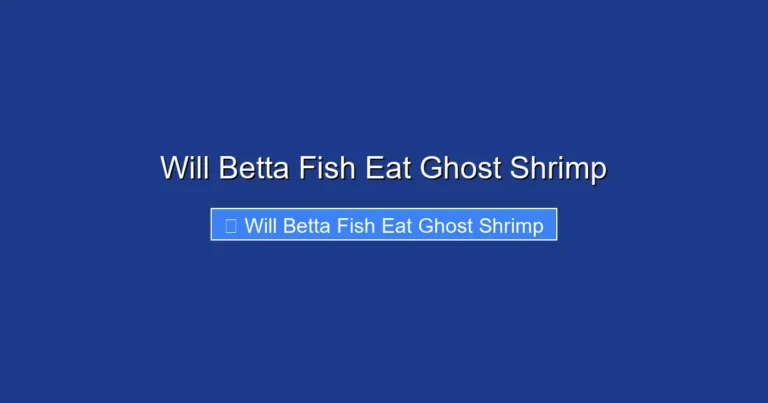 Will Betta Fish Eat Ghost Shrimp