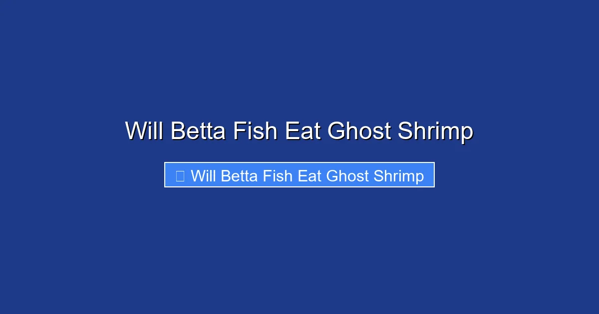 Will Betta Fish Eat Ghost Shrimp