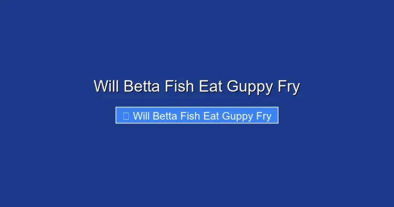 Will Betta Fish Eat Guppy Fry