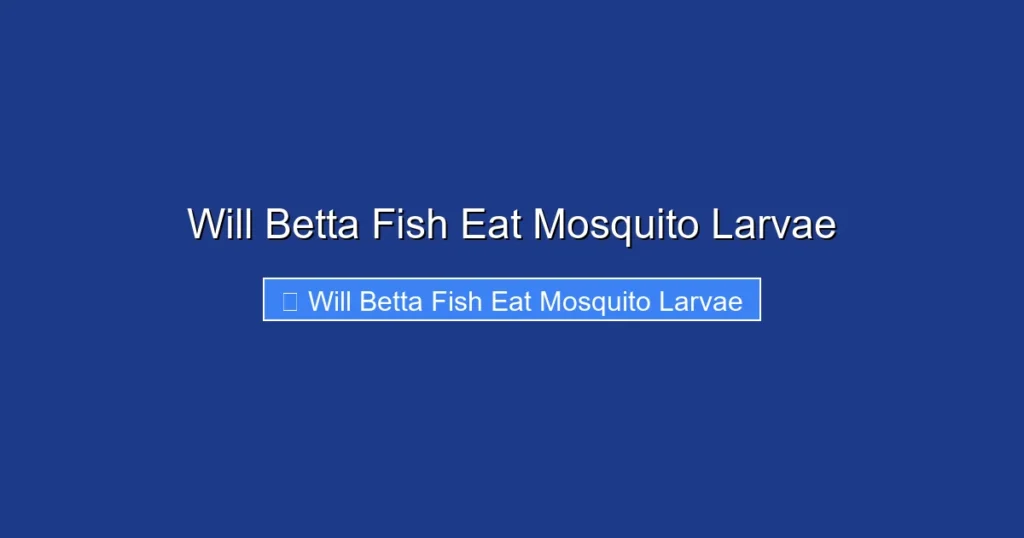 Will Betta Fish Eat Mosquito Larvae