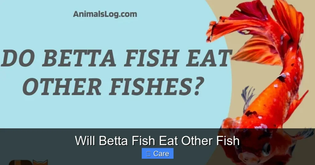 Will Betta Fish Eat Other Fish