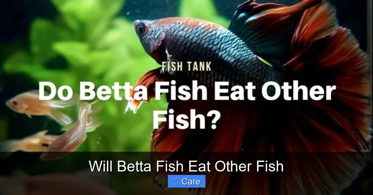 Will Betta Fish Eat Other Fish