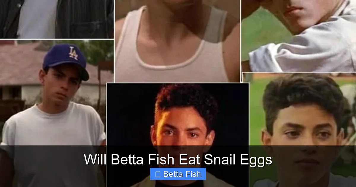 Will Betta Fish Eat Snail Eggs