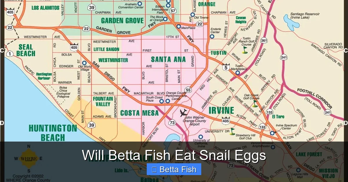 Will Betta Fish Eat Snail Eggs