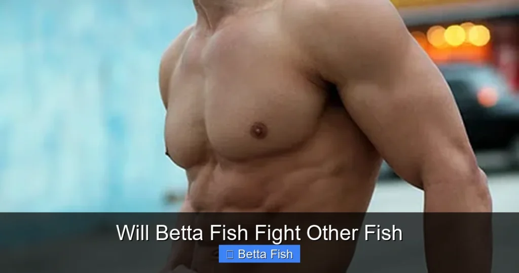 Will Betta Fish Fight Other Fish