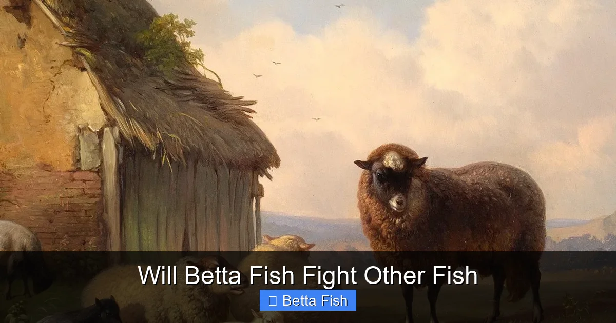 Will Betta Fish Fight Other Fish