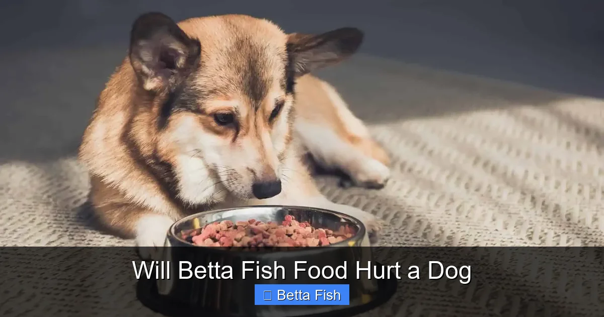 Will Betta Fish Food Hurt a Dog