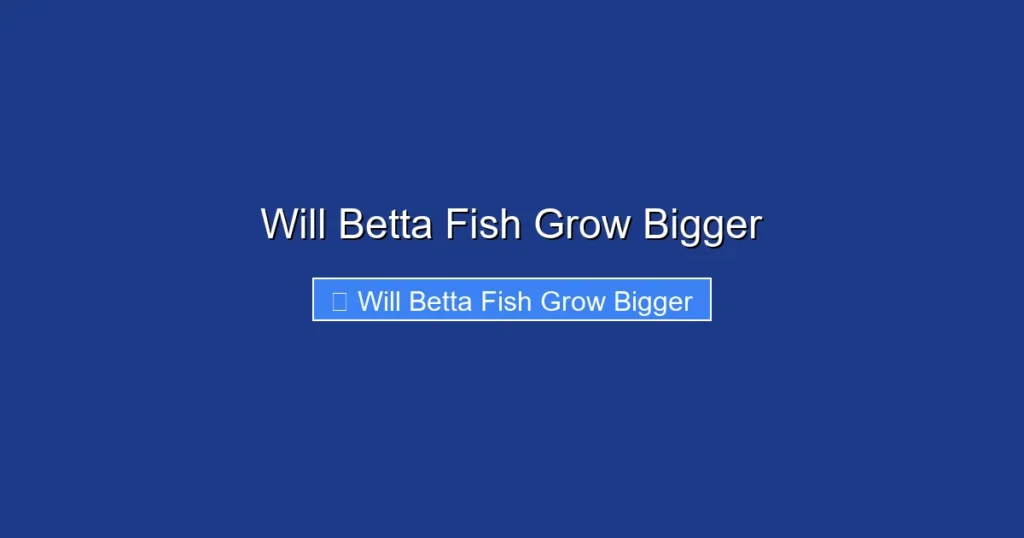 Will Betta Fish Grow Bigger