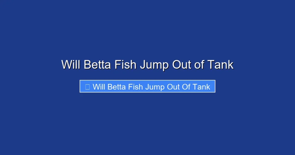 Will Betta Fish Jump Out of Tank