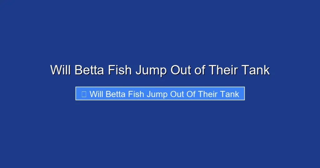 Will Betta Fish Jump Out of Their Tank