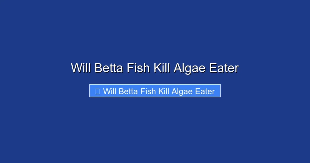 Will Betta Fish Kill Algae Eater