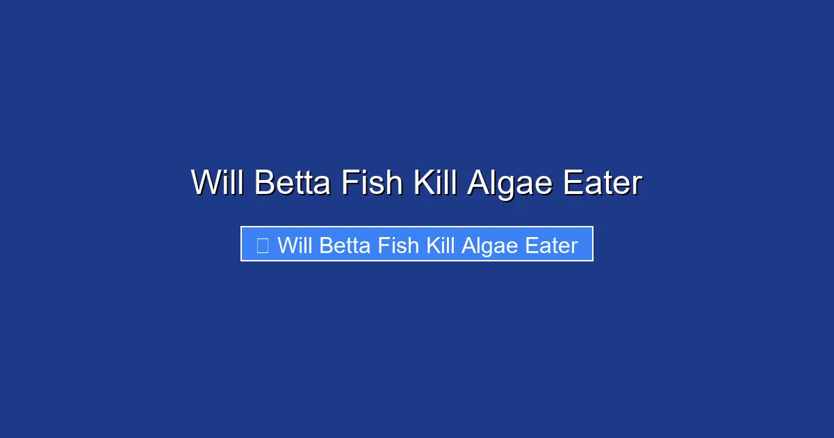 Will Betta Fish Kill Algae Eater