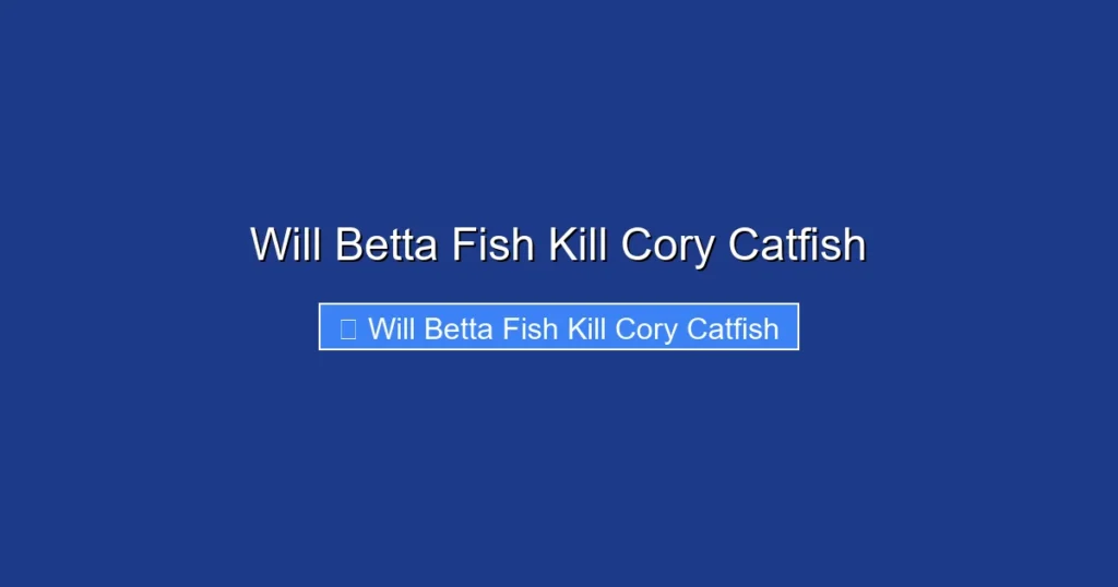 Will Betta Fish Kill Cory Catfish