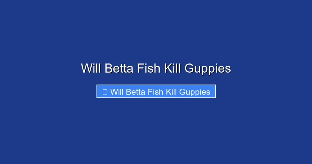 Will Betta Fish Kill Guppies