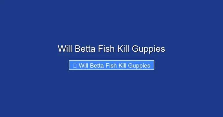 Will Betta Fish Kill Guppies