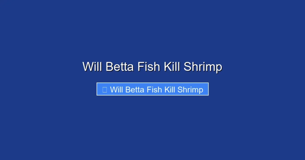Will Betta Fish Kill Shrimp