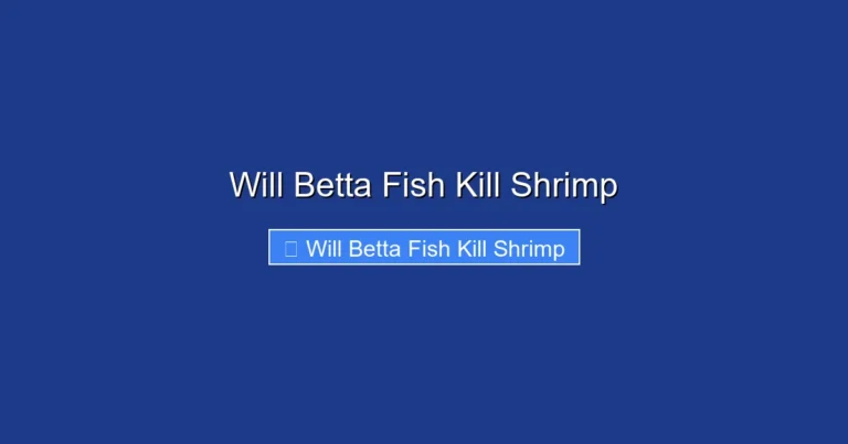 Will Betta Fish Kill Shrimp