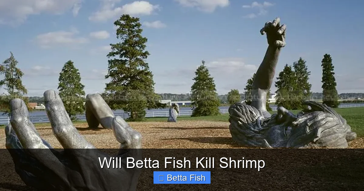 Will Betta Fish Kill Shrimp