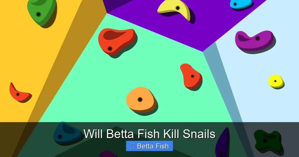 Will Betta Fish Kill Snails